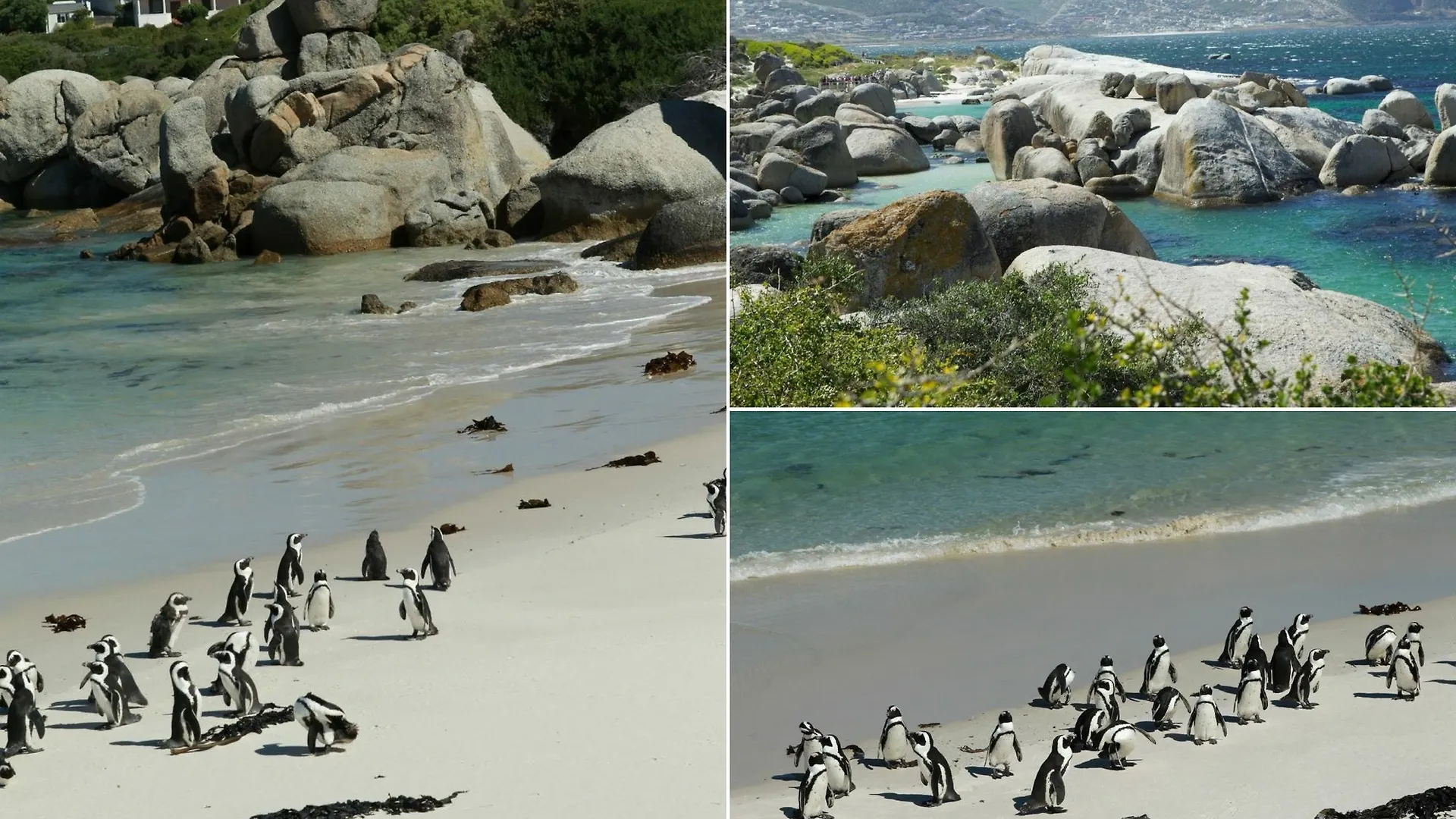 Guest house Mariner Guesthouse & Villa Simon's Town